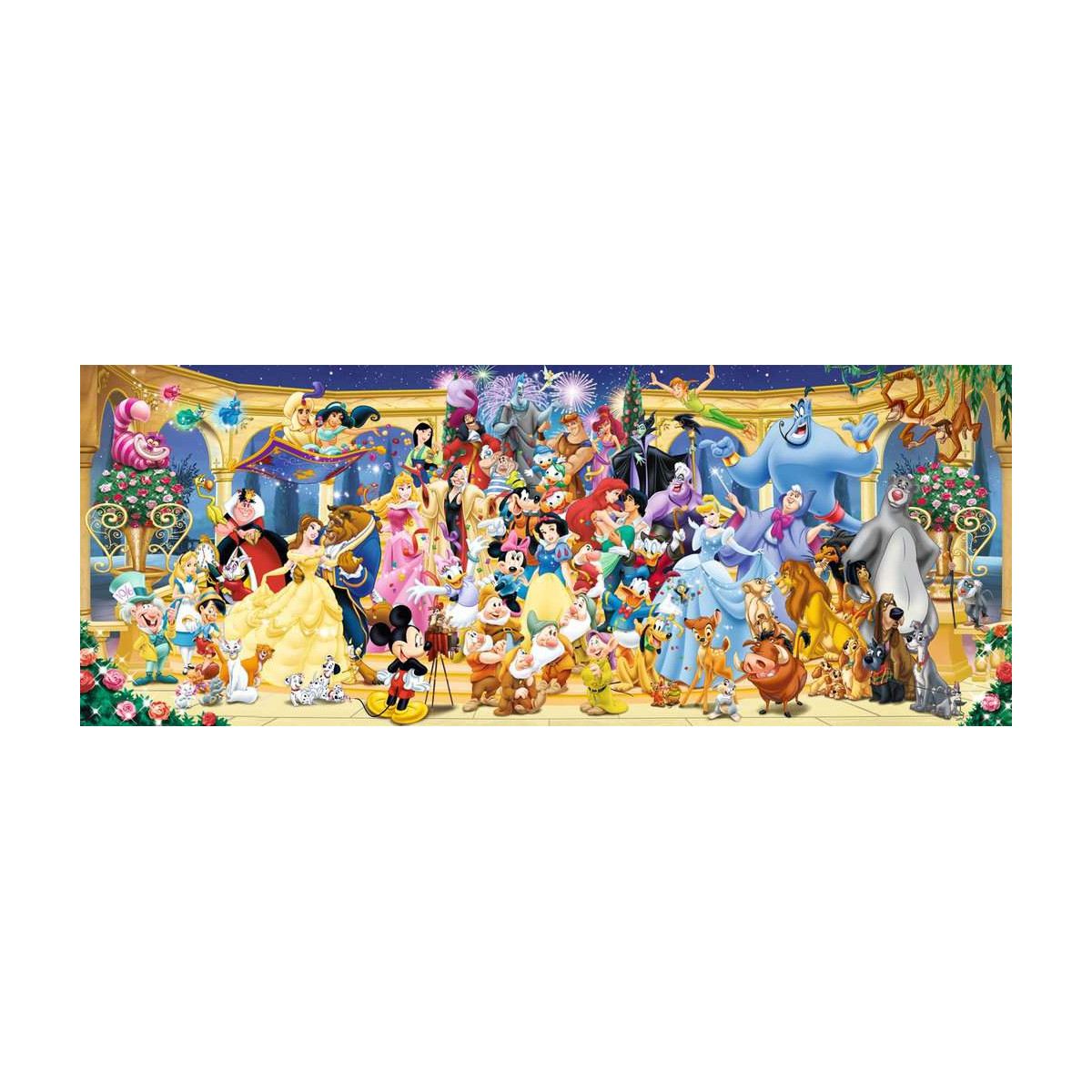 Puzzle : 1000 pièces - Photo de groupe Disney (Panorama ...