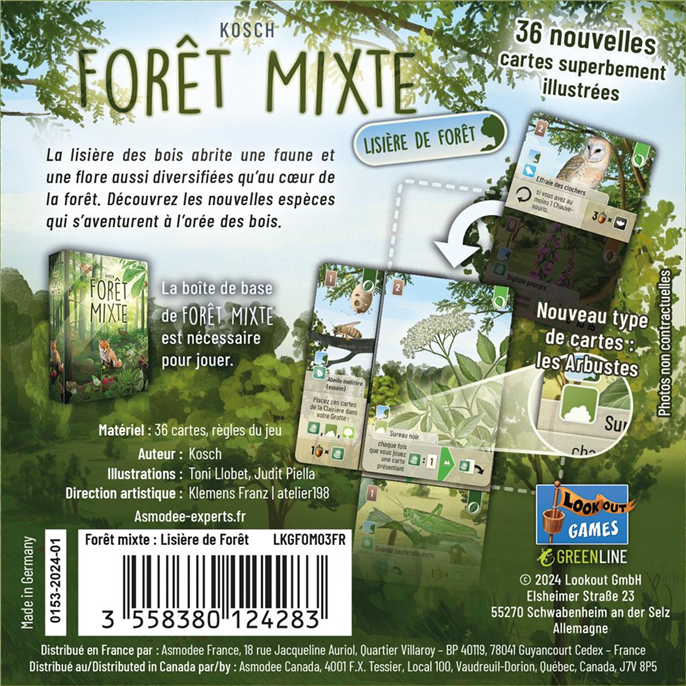 Forêt Mixte : Lisière du Bois